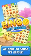 Bingo Pet Rescue screenshot 6