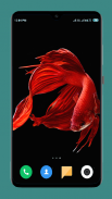 Betta Fish Wallpapers 4K screenshot 13