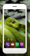 Snake Sounds Live Wallpaper screenshot 1