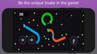 Rainbow Snake screenshot 0