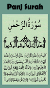 Panj Surah screenshot 0