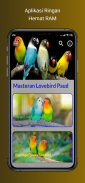 Masteran Lovebird Paud Konslet screenshot 8