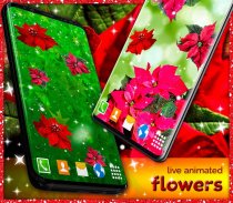 Poinsettia 4K Christmas Flower screenshot 1