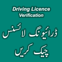 Driving Licence Verification Icon
