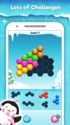 Hexa Puzzle HD - Hexagon Match Game of Color Block screenshot 0