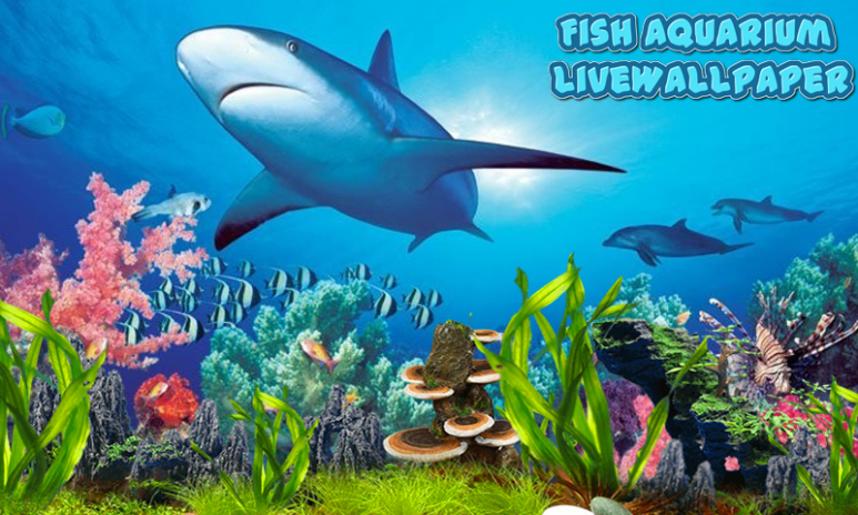 Download Wallpaper Aquarium 3d Bergerak Images Hewan Lucu Via Hewan Lucu Blogspot Com Image Num 4