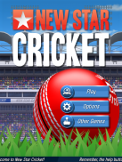 New Star Cricket screenshot 8