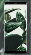 Tropical Leaves Wallpaper screenshot 7