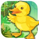 Learning Birds for Kids Icon
