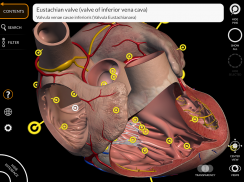 Anatomy 3D Atlas screenshot 3