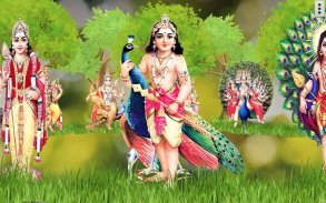 4D Lord Murugan Live Wallpaper screenshot 2