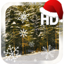 Winter Forest Live Wallpaper Icon