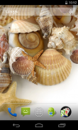 Sea shells Live Wallpaper screenshot 0