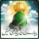 Pyaray Nabi ki Pyari Sunateen Icon