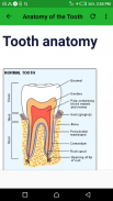 Oral Hygiene and Dental Care screenshot 2