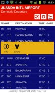 Indonesia FlightBoard screenshot 0