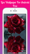Red rose Live Wallpaper 2019 free Red rose LWP screenshot 5