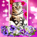 Cute Cats Live Wallpaper