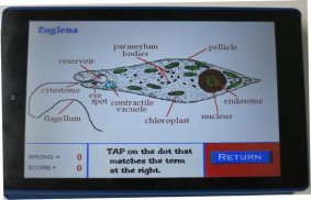 Label that Diagram - Cells screenshot 4