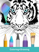 2020 for Animals Coloring Books screenshot 0