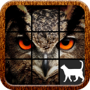 Owl Slide Puzzle Icon