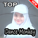 Dance Monkey Offline Icon