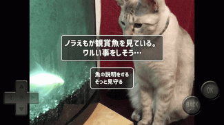 猫飼いシミュレーション screenshot 5