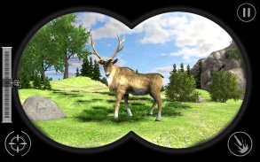 Real Jungle Animals Hunting- Miglior gioco di tiro screenshot 0