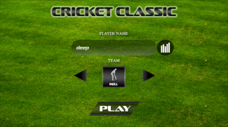 Cricket Classic Game screenshot 8