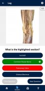 UBC Human Anatomy Teaching App screenshot 4