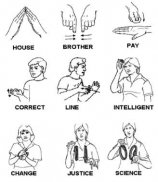 Sign Language for Beginners screenshot 3