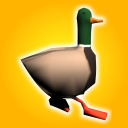 Mad Duck Chasing Icon