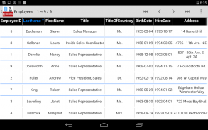 Access Database Manager screenshot 8