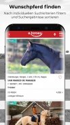 ehorses screenshot 5