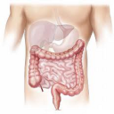 Colon Cleanse App - Natural & Organic - Free App Icon