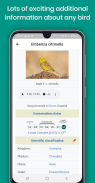 Bird Identifier Pro - Photo Bird Identification screenshot 0