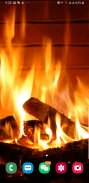 3D Fire Video Live Wallpaper P screenshot 7