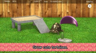 Tortoise to grow relaxedly screenshot 5