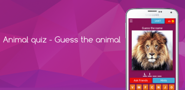 Animal Quiz - Guess the animal screenshot 4