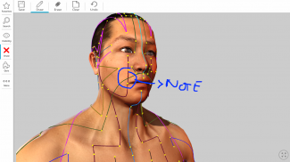 Visual Acupuncture 3D screenshot 5