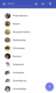Genera of mammals screenshot 12
