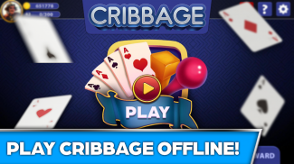 Cribbage Offline Card Game screenshot 3