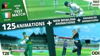 World Cricket Championship 2 screenshot 6