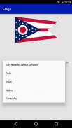 State Flags screenshot 2