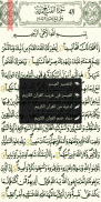 القرآن الكريم - برواية قالون screenshot 5