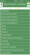 ICAR IIOR Seed Production Sunflower screenshot 0