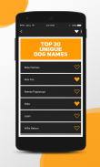 Dog Names || Puppy Names (Nombres para Perros) screenshot 0