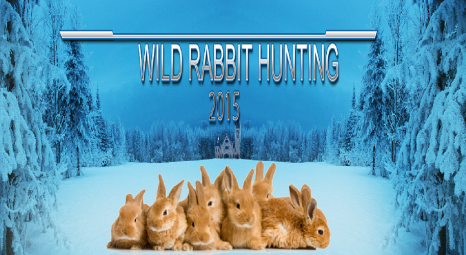 Wild Animal Rabbit Simulator 1 0 Download Android Apk Aptoide - how to be the easter bunny on roblox rabbit simulator