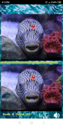 Find the differences: Sea Creatures screenshot 7