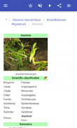 Perennial herbs screenshot 6